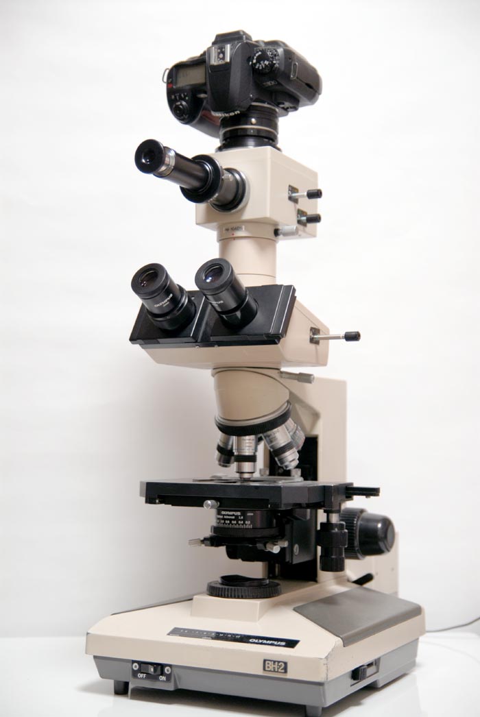 オリンパス顕微鏡撮影装置ＰＭ１０－ＡＤＳ